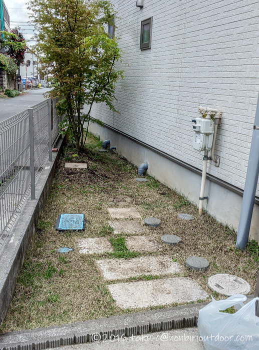 空き地スタイルな日本芝の庭